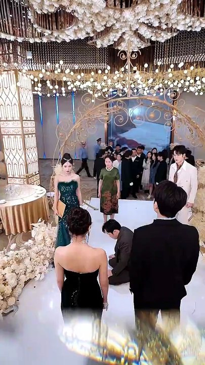 我在退婚宴惊艳全场（54集）张昊旸&陈俊羽 (2025)