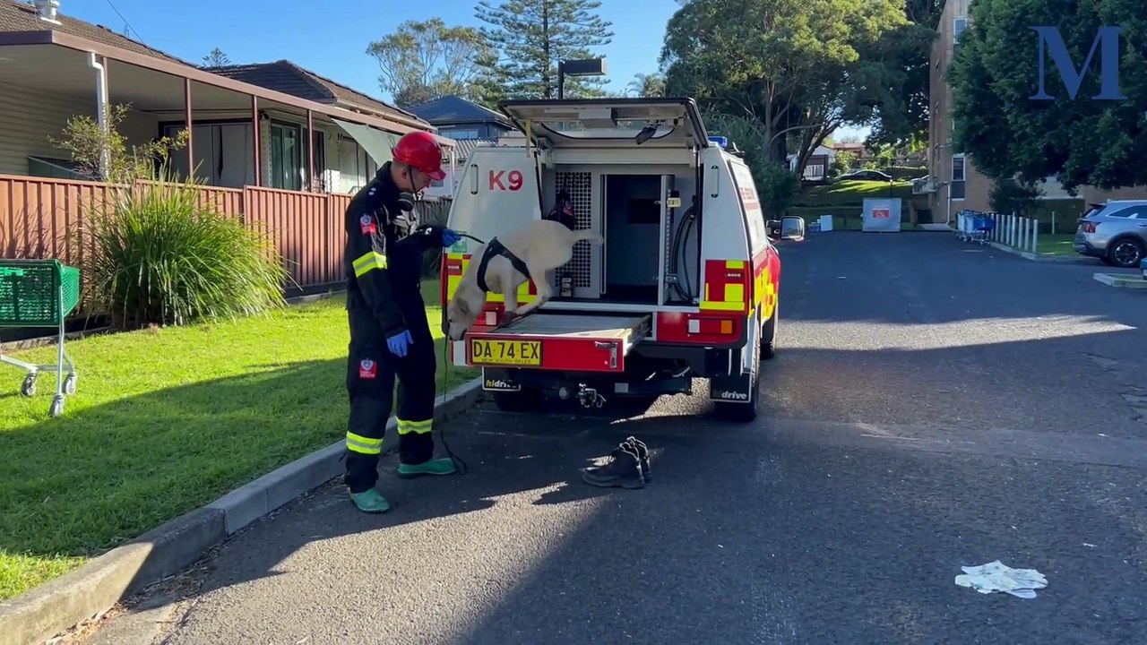 Fire and Rescue NSW shares update on Warrawong fire investigation