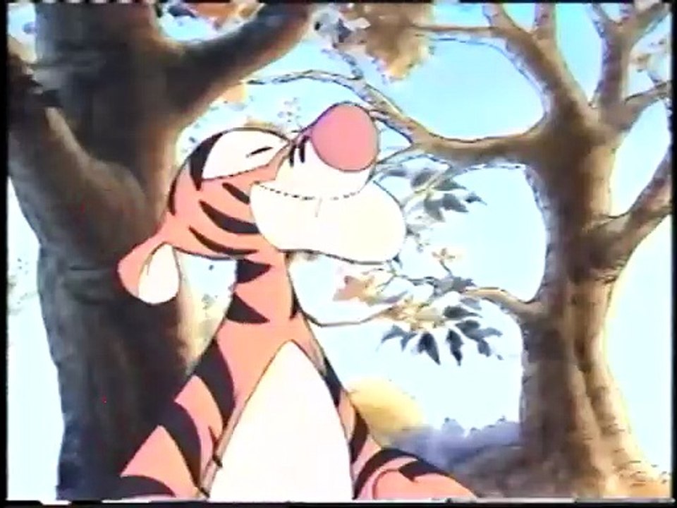 The Tigger Movie In School Learning Video