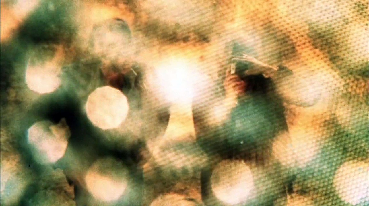 phase 4 / 1974 movie