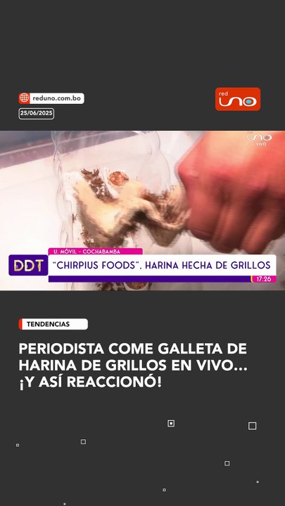 HARINA DE GRILLOS