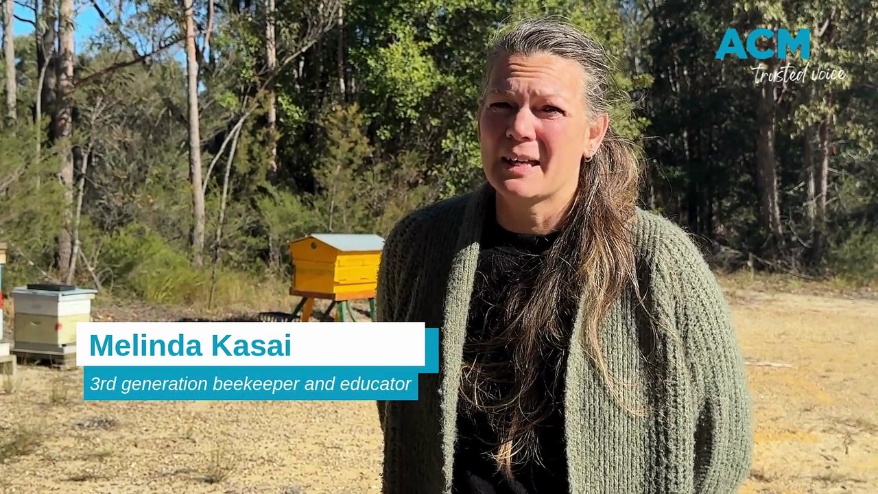 Melinda Kasai spreads the word on how to protect Shoalhaven bee populations.