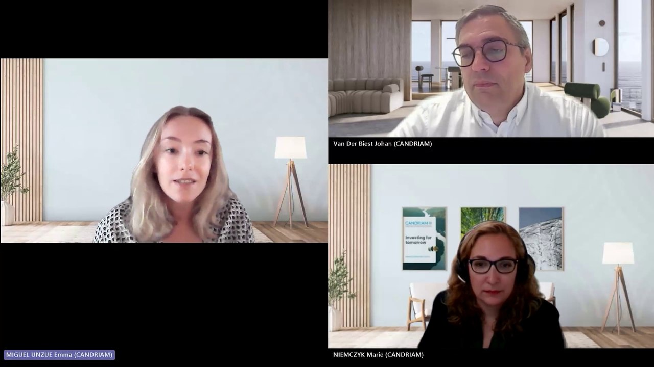 AI Through the Sustainability Lens