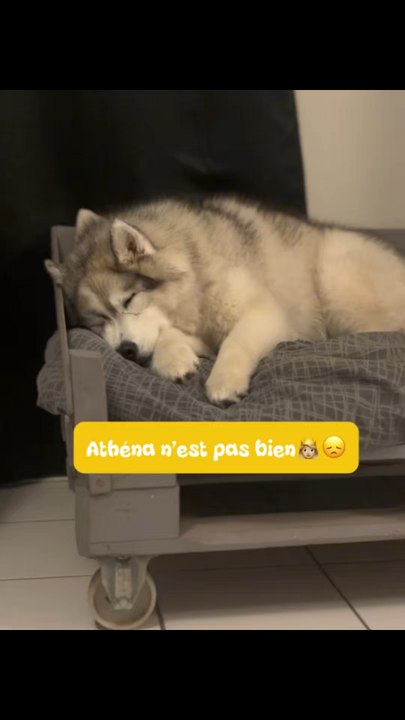 La Toun s’est faite mal …