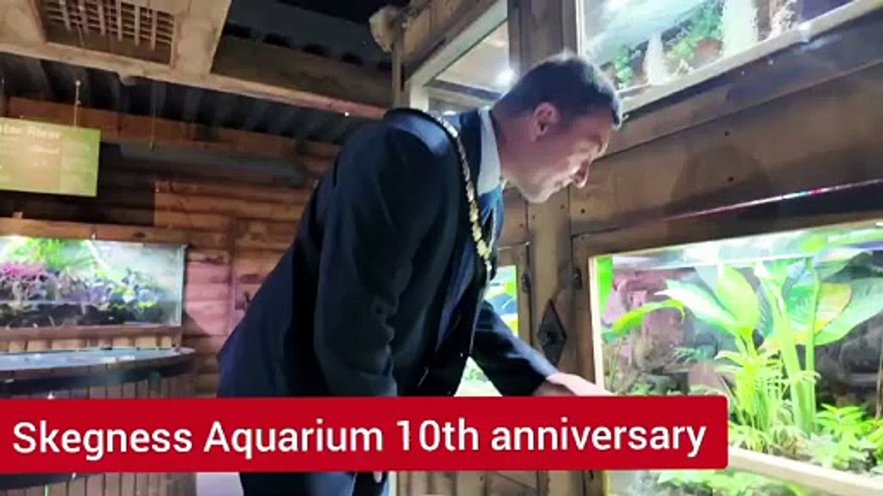 Skegness Aquarium 10th anniversary