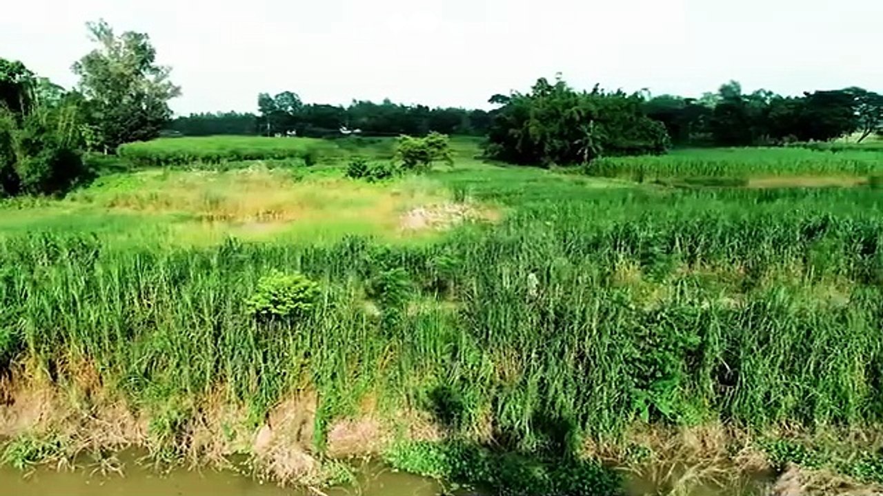 Pap kahini (2025)-S01