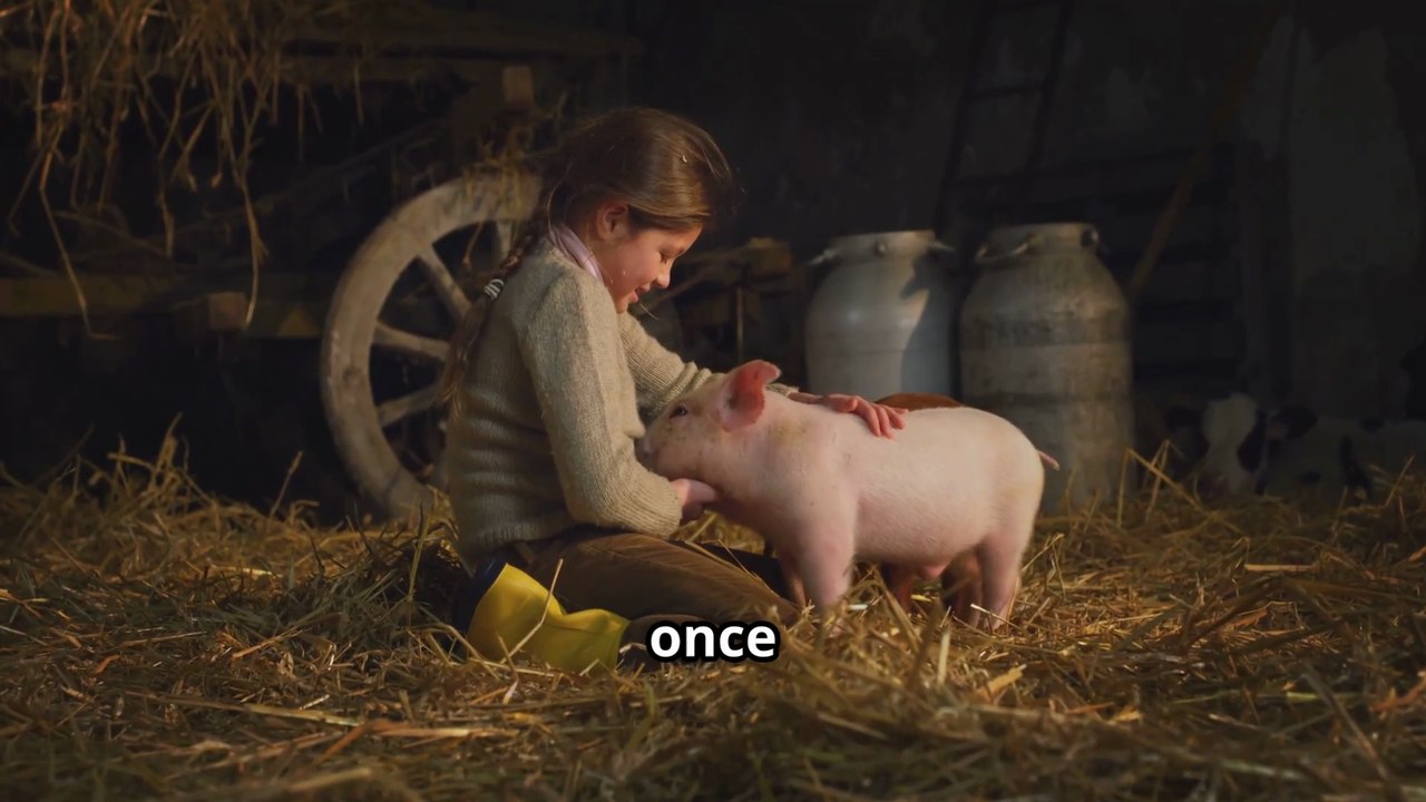 Are Pot Belly Pigs Good House Pets ?