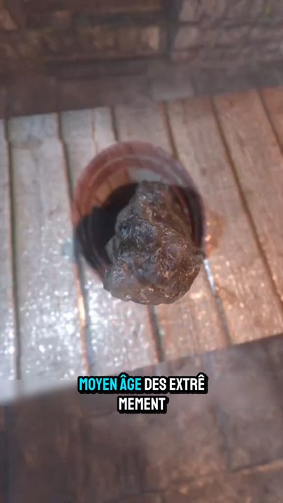 Les toilettes des châteaux