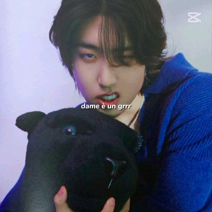 Dame é un grr dame é un queskz version kpop han and felix 🐣🐿