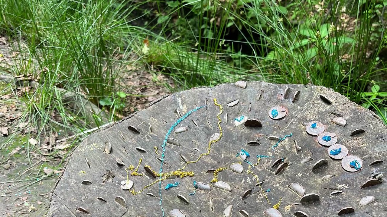 I went to Parbold's Fairy Glen - and got lost