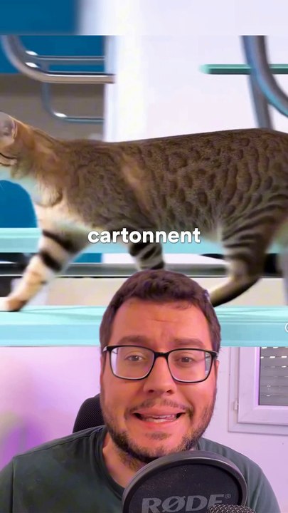 Cette Trend IA fait des millions de vues