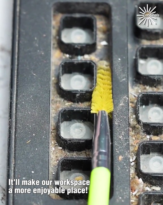 Deep cleaning of a dirty wired keyboard!🧽⌨️