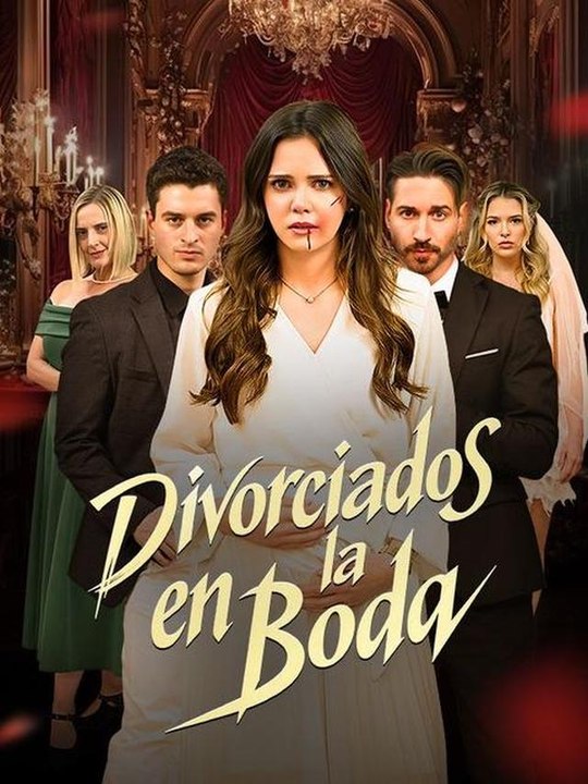 Engagement Nightmare Dramabox