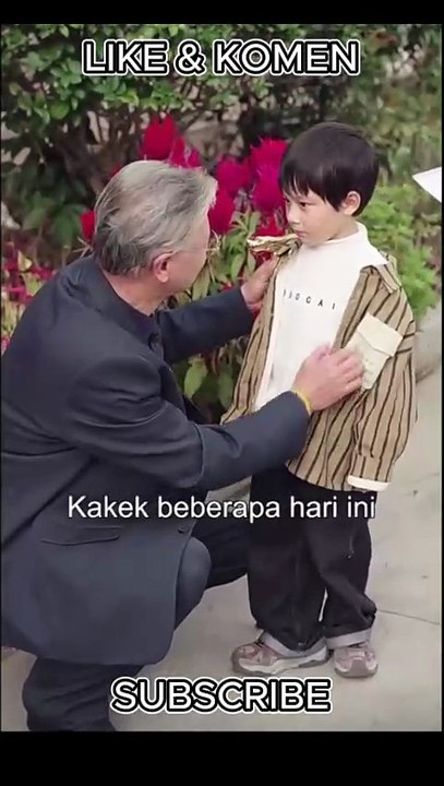 Pesona Istri Manis Sang CEO Drama Cina Sub Indo Dub Indo