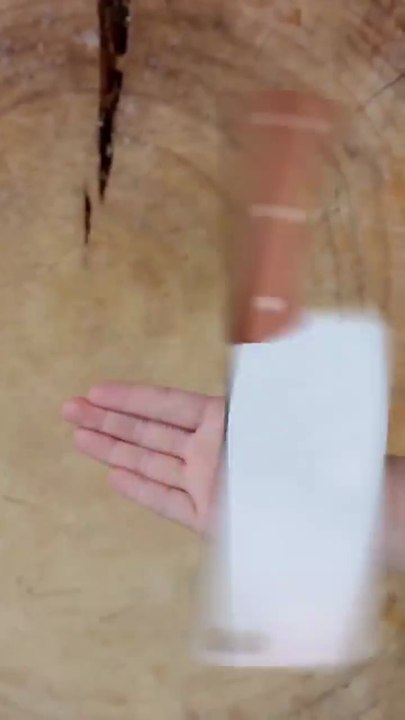 Little Foodie Genius