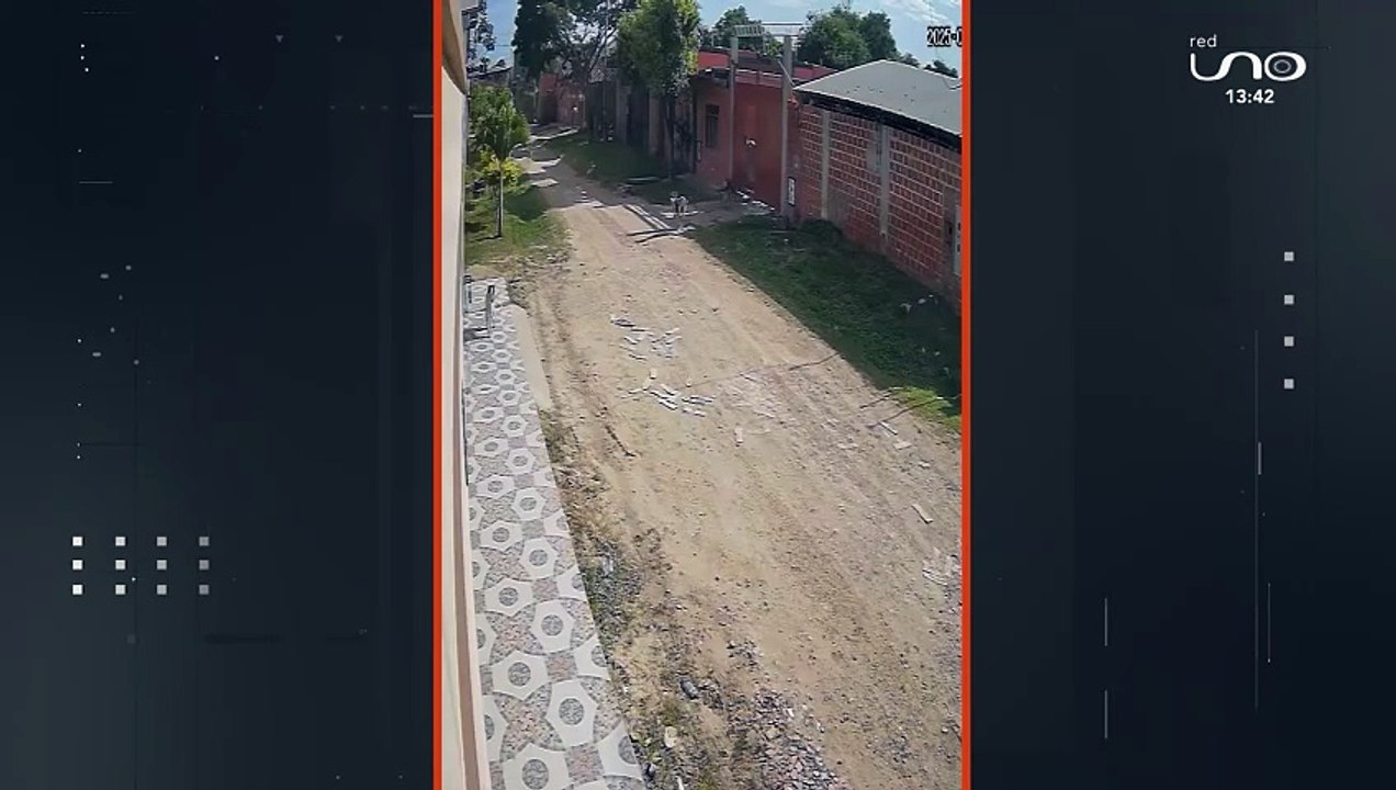 TEMOR POR PERRO AGRESIVO