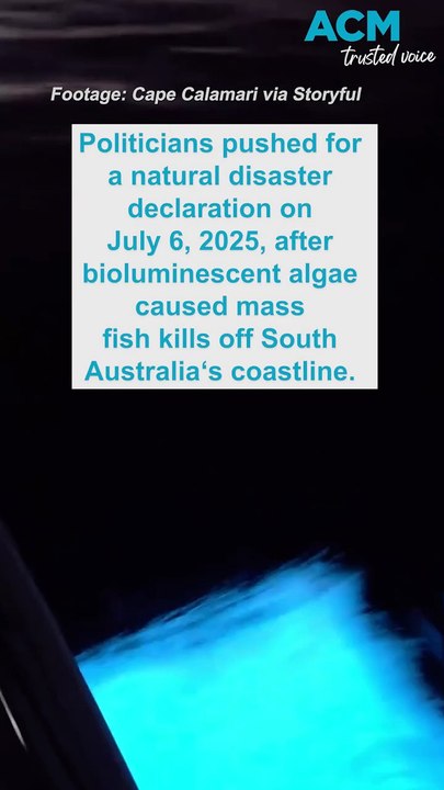 Bioluminescent algae spotted off South Australia