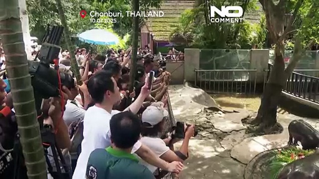 Thailand’s star baby hippo Moo Deng celebrates her first birthday