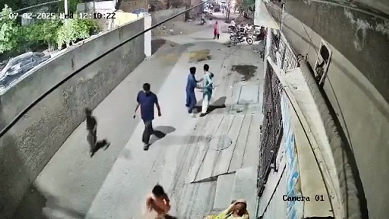 巴基斯坦富人宠狮失控　街头母子3人遭袭