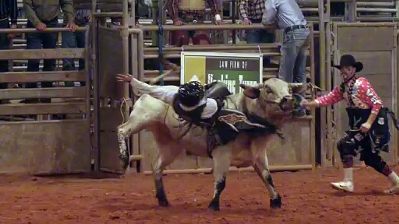 Dangerous Caw #fyp Shorts film