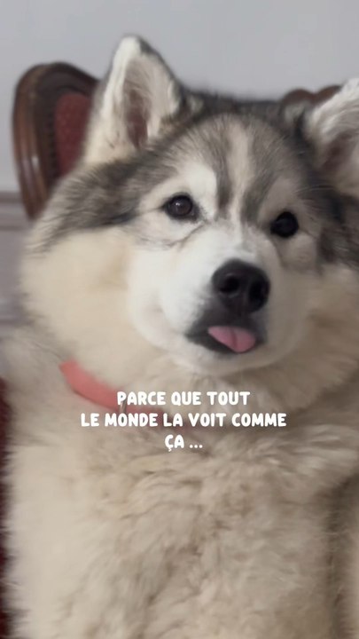 Pour toujours ma Toun 🐻‍❄️🤍