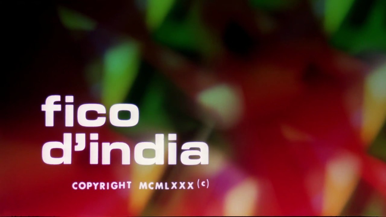 Infarto para un Don Juan 1980 HD 1080 Español Completa Gloria Guida, Renato Pozzetto