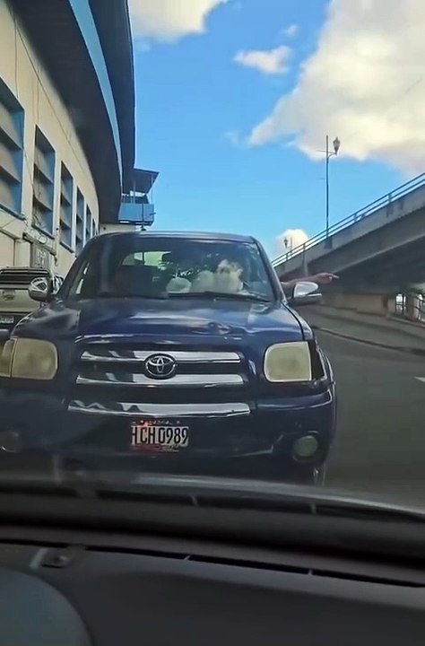 Exponen a conductor que quiso cruzar en contravía a inmediaciones de Estadio 'Chelato Uclés'