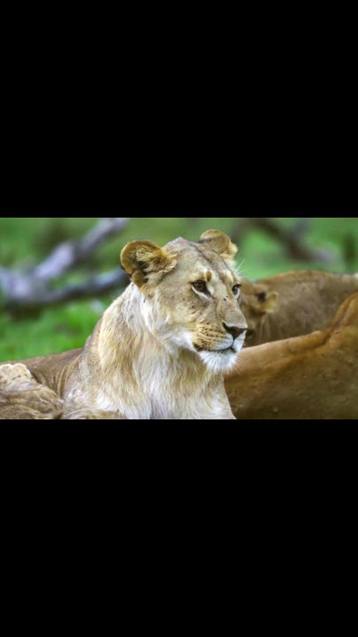 Riddles of Emotions and Human Feelings