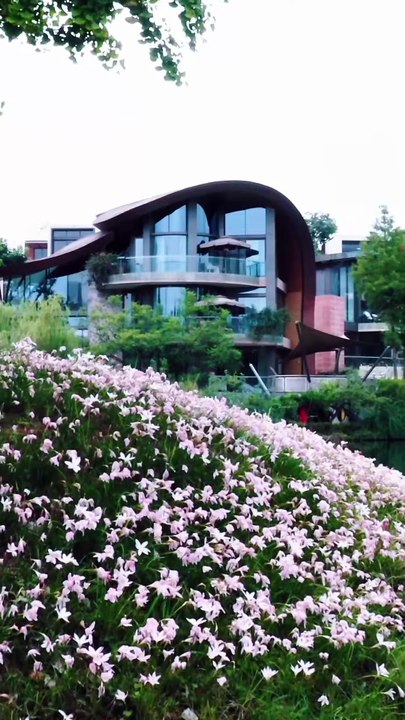 She was taken home by the president as a substitute, but she was completely heartbroken because of a word she said in bed. After she left, the president regretted it completely and went crazy looking for her