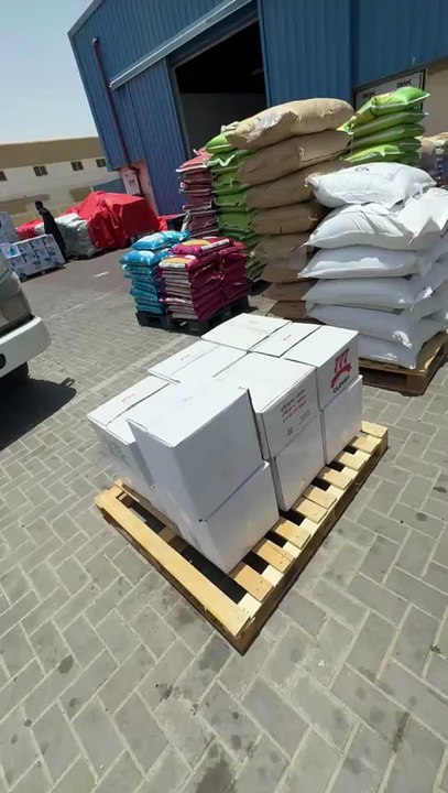 Dubai: Prawns, laptops, flight tickets vanish in Dh25 million scam 1