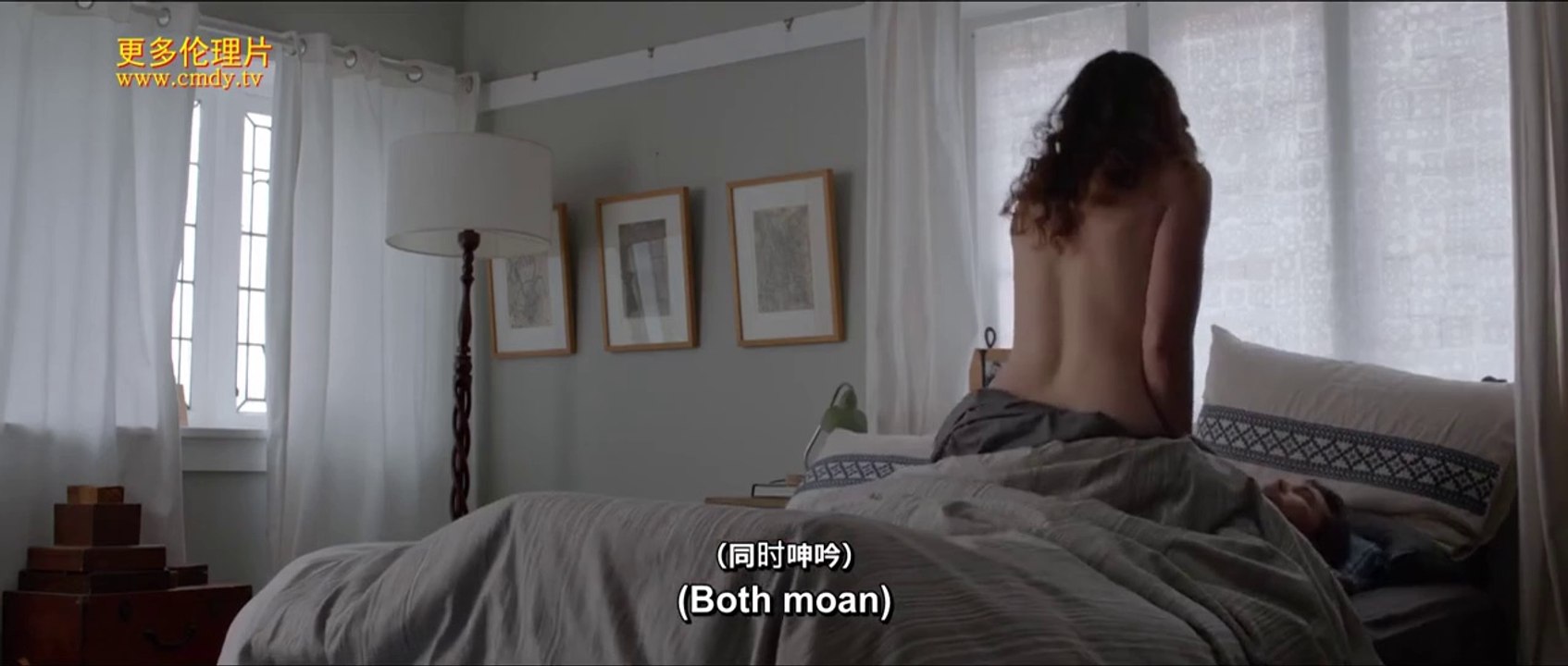 Ticket To Ride - Full Free