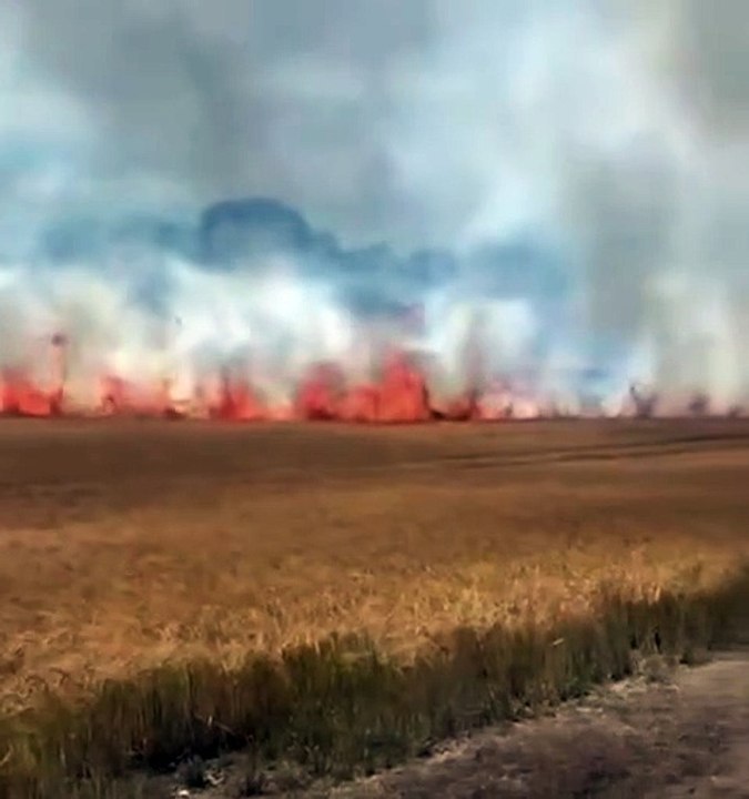 Terrifying crop fire