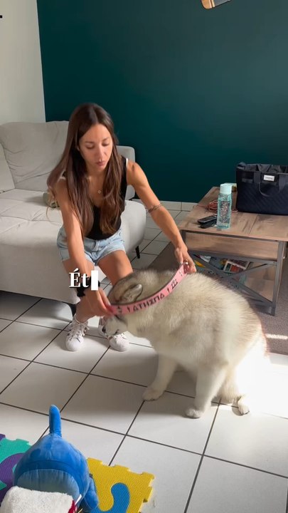 J-2 avant la décision ma Toun 🐻‍❄️…