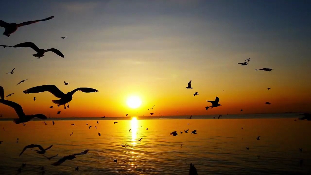 Por Enamorarme – Tololoche | Corrido Bélico Romántico de Amor y Dolor (Video Oficial)