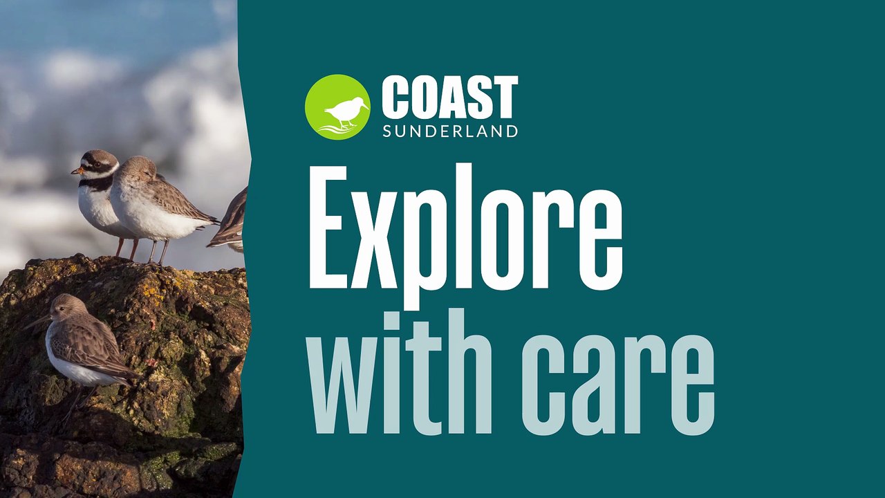 COAST Sunderland