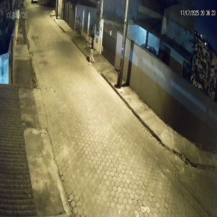 Filhote de cachorro abandonado em Joinville na última quinta-feira