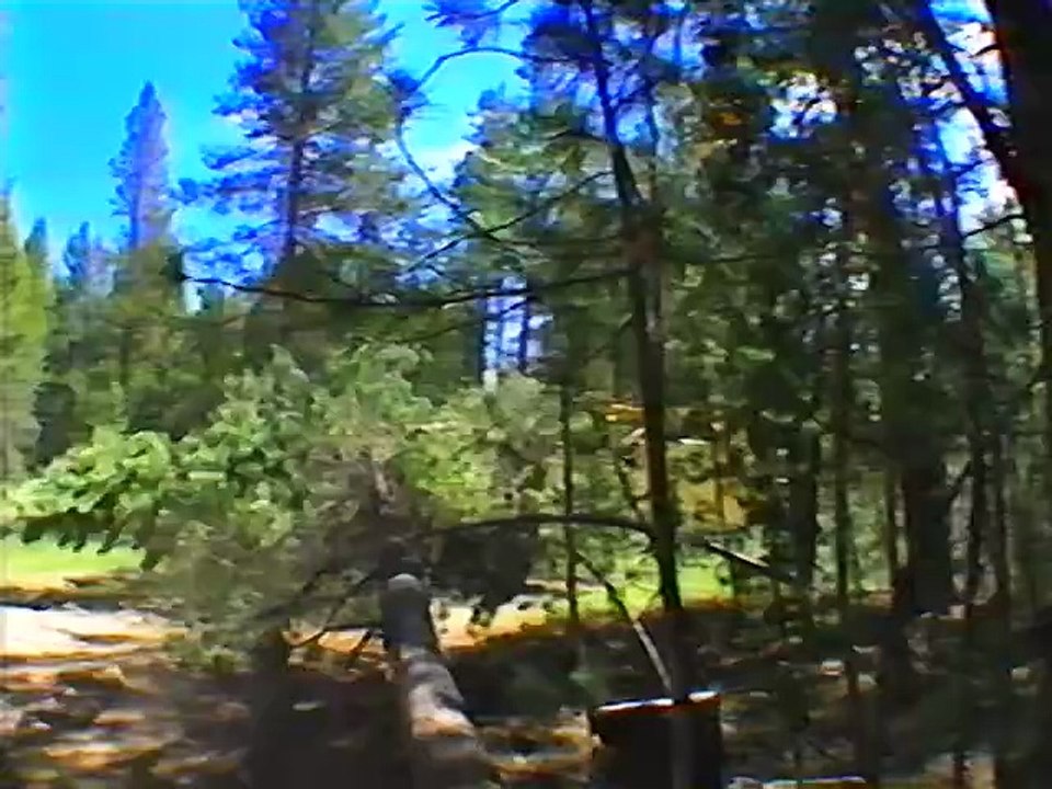 Public Lands, Private Profits