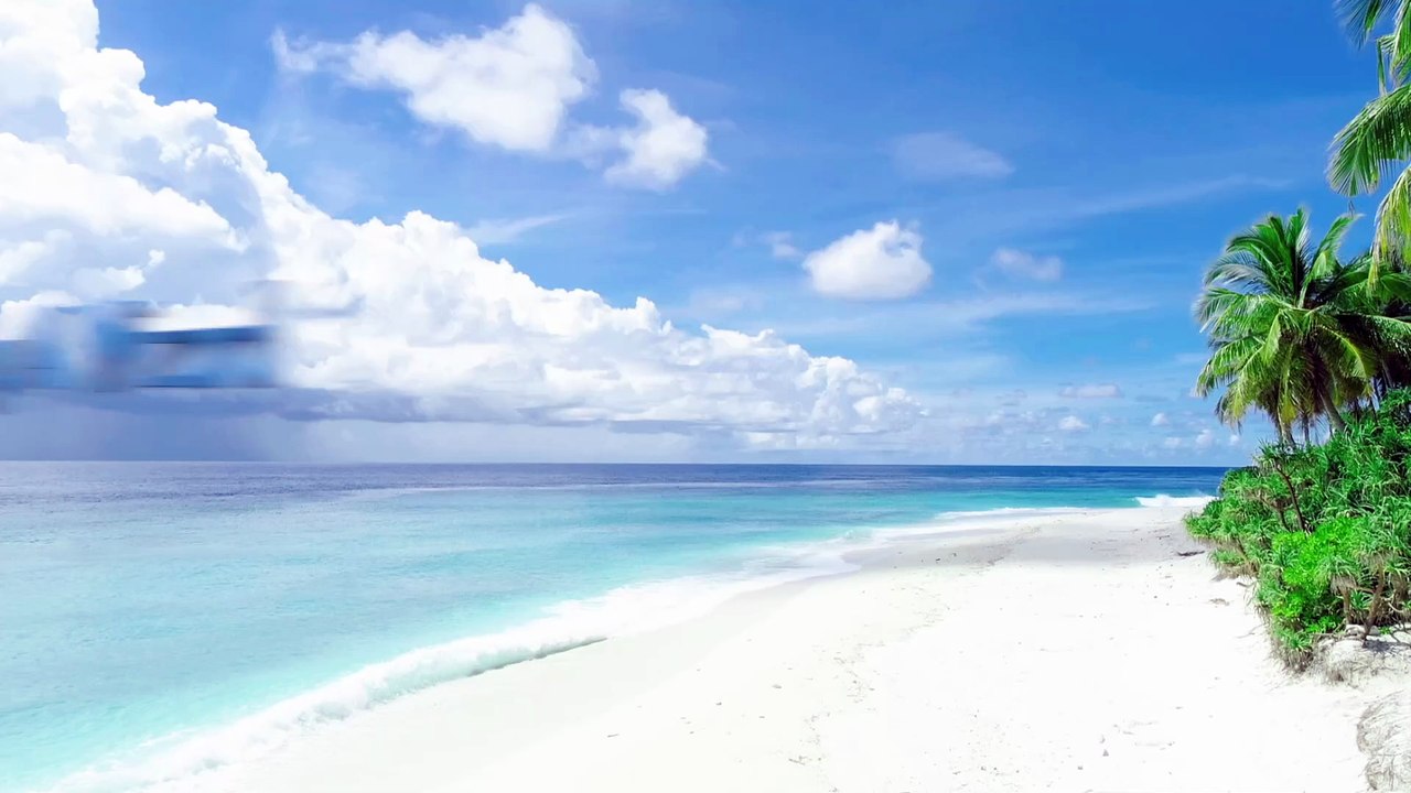 Day 24: AI in Finance—Master Wealth with AI! | #DailyAIWizard