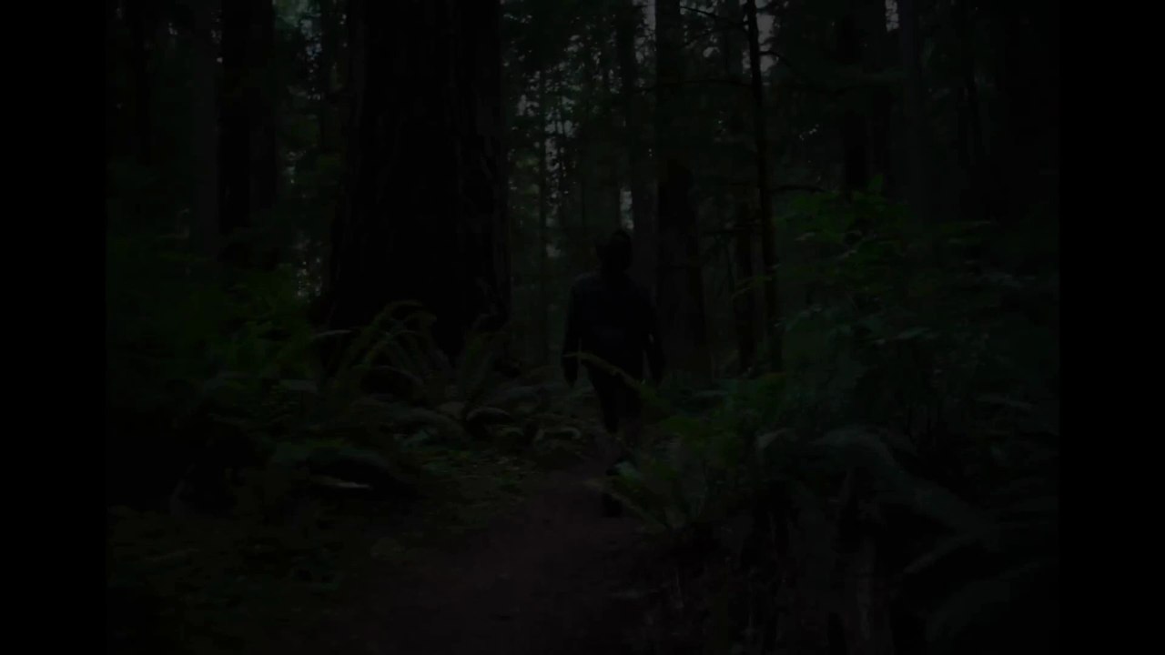 Train Dreams Trailer OV