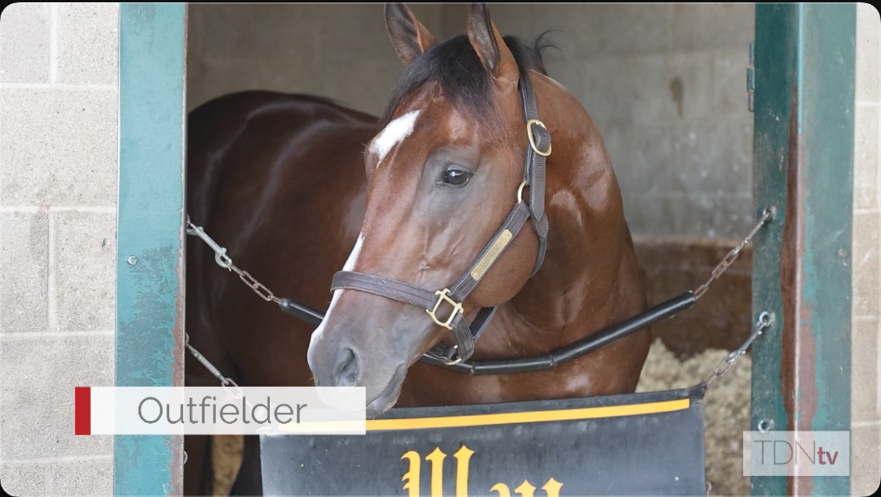 Ward Looks for Prix Morny Number Four With Outfielder