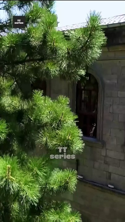 Mafia Boss Takes High School