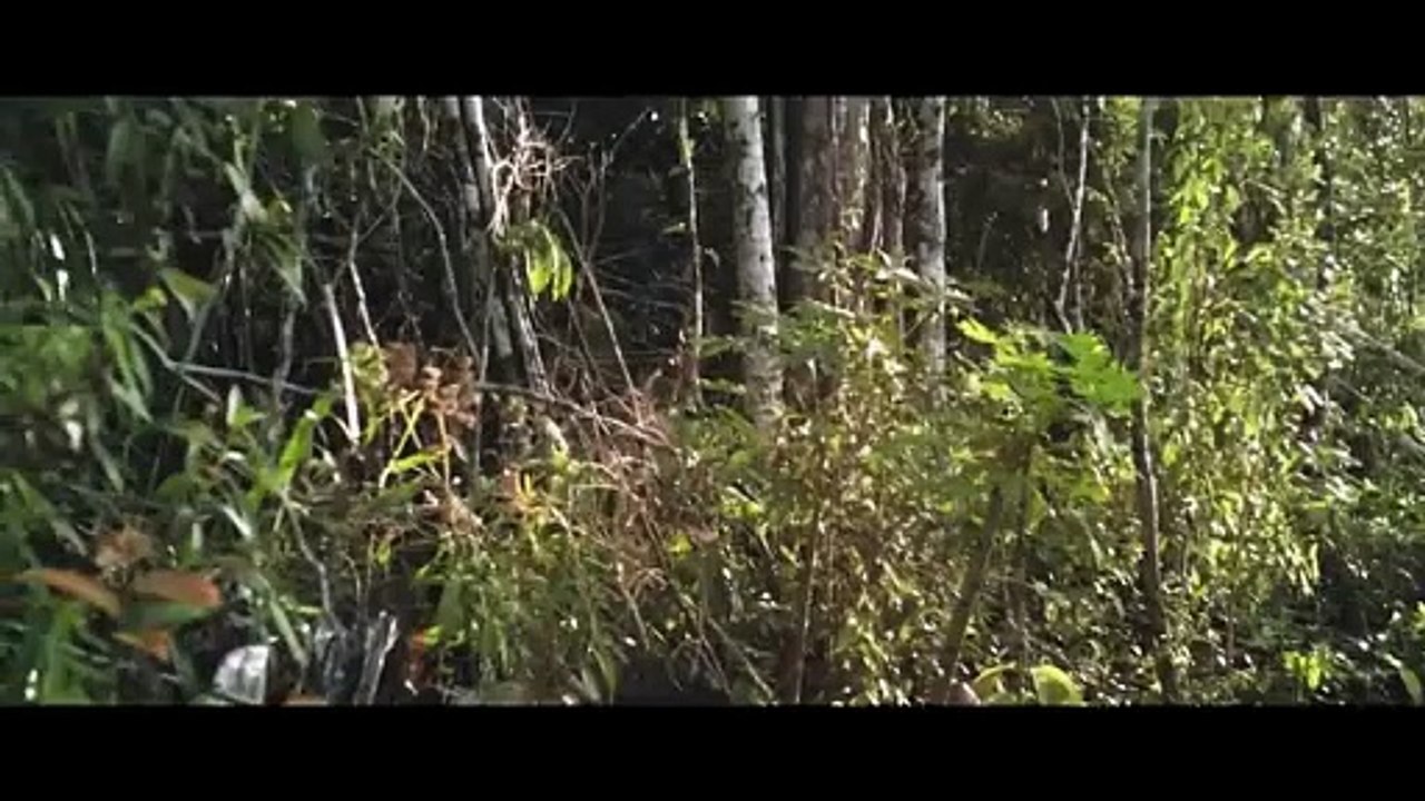 Jurassic Attack _ Hollywood Movie _ Full Movie in Hindi _ Hollywood Film