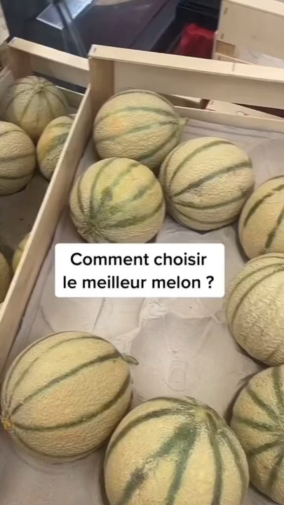 Une question du code de la route 🛣️