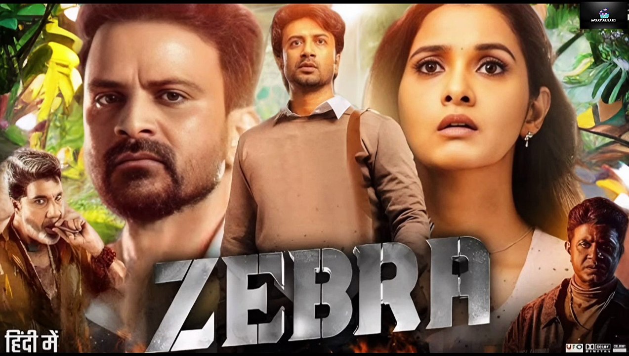 Zebra 2024 Hindi Movie