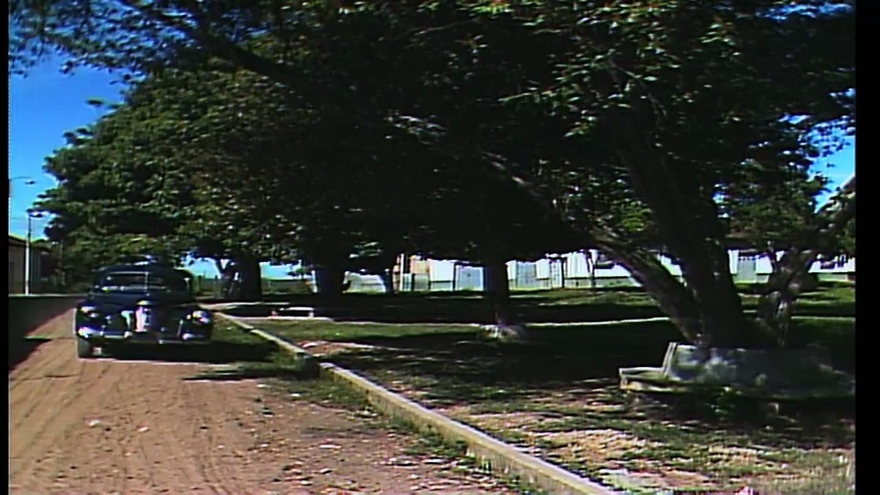 ¿Estás listo para decir 'sí'? Descubre quién busca casarse 💍