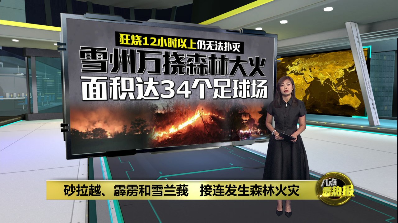 雪州万挠垦殖区突发火灾   大片森林夷为平地