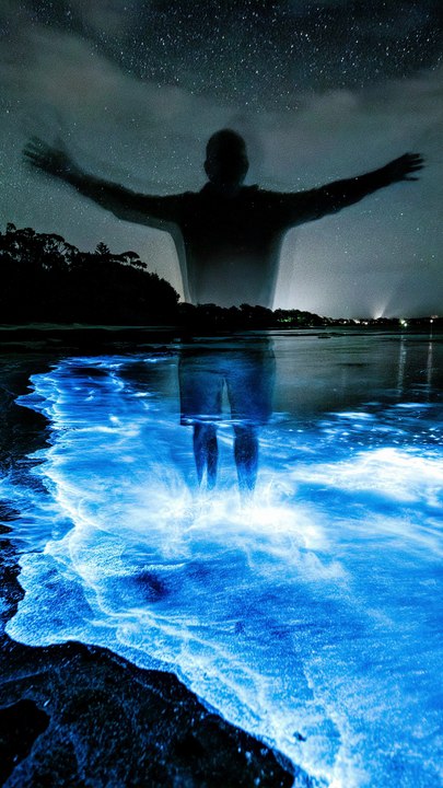 Bioluminescent Humans? The Truth Is Wilder Than You Think