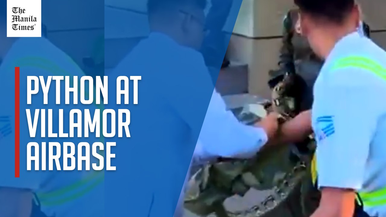 Python caught at Villamor Airbase