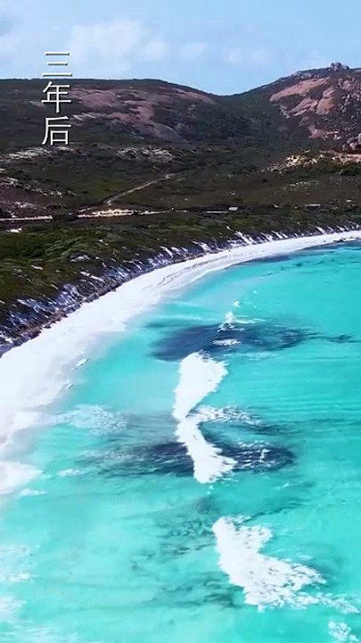 王晨鹏&翟一莹 - 【晚色上春枝】 (下篇)