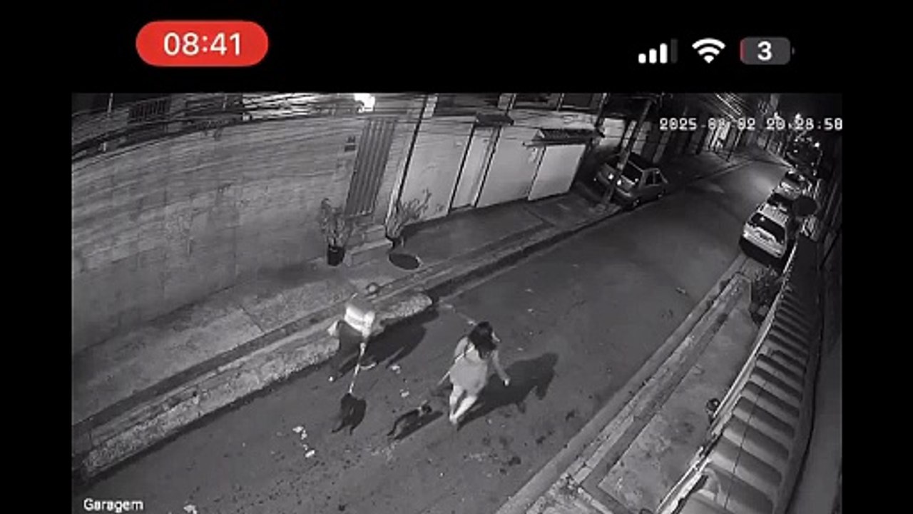 Dupla é flagrada abandonando filhotes de cachorro na Pavuna